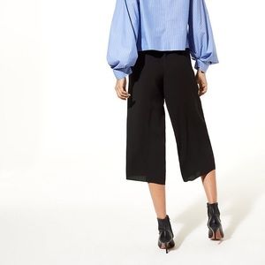 Aritzia Babaton Lazarus Culotte